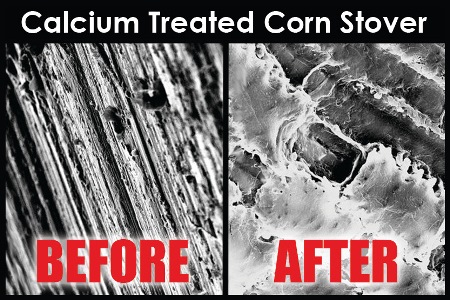 Calcium Treatment Effects on Corn Stover.