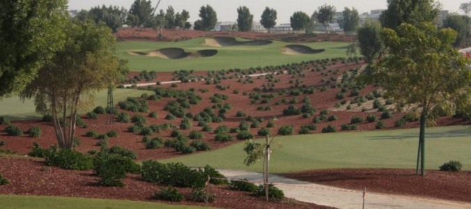 Rotochopper Colored Mulch on Dubai Golf Course.