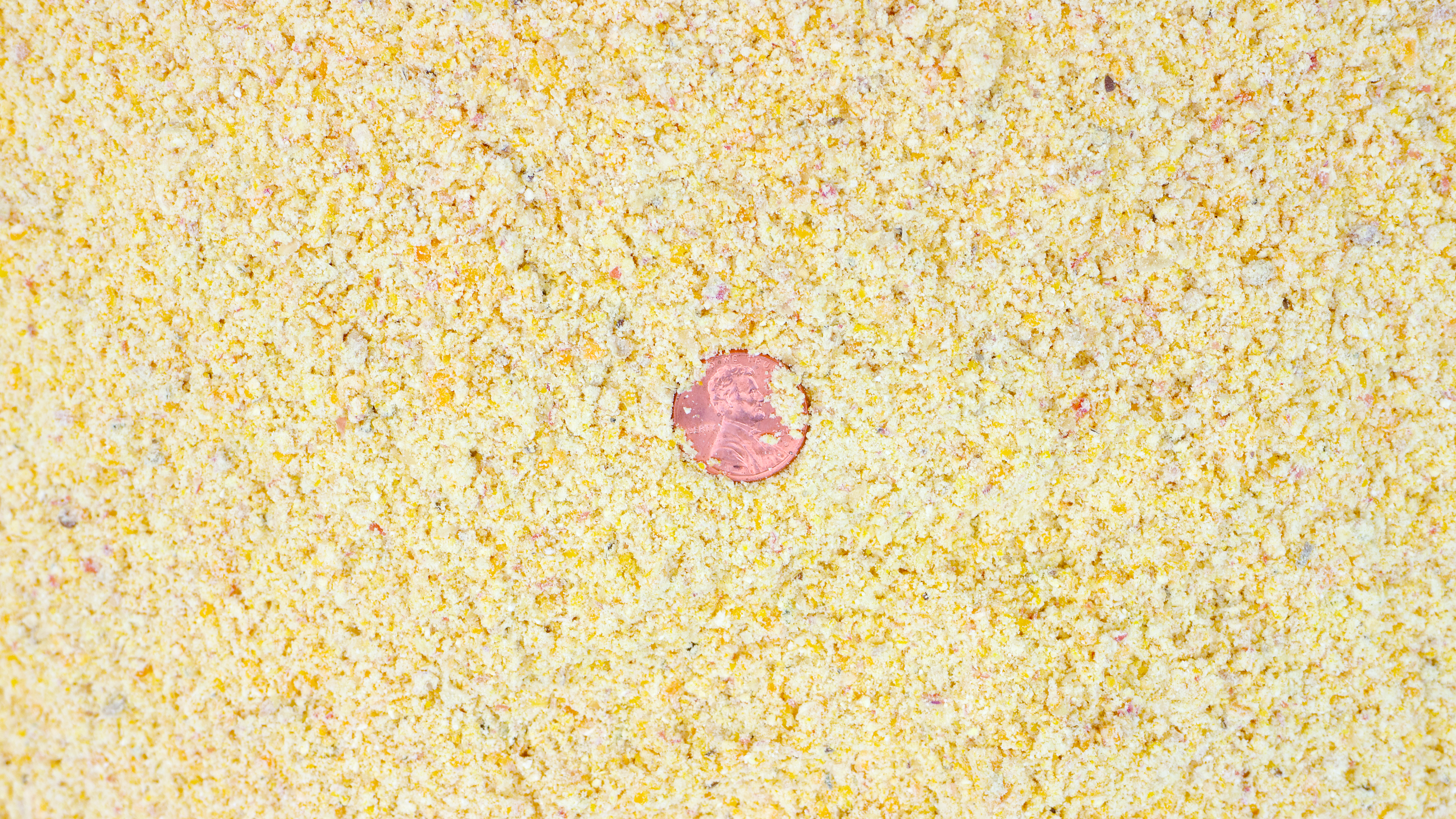 penny in shelled corn