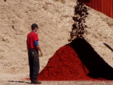 Colored Landscape Mulch Production.