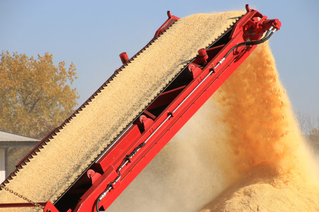 grinding high moisture shell corn