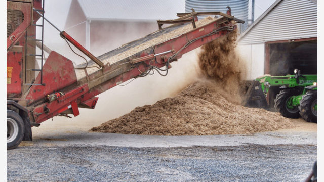 mc266 grinding switchgrass poultry bedding