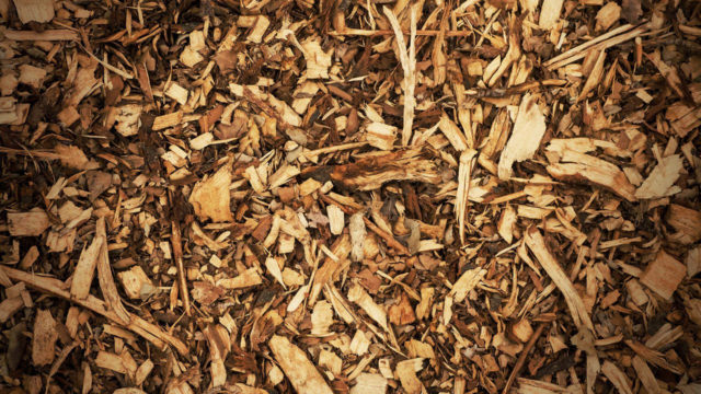 wood chips