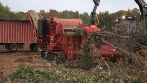 Rotochopper horizontal grinder processing large tree branches and discharging them into a trailer.