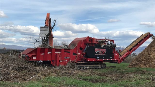 orchard grinding b66l