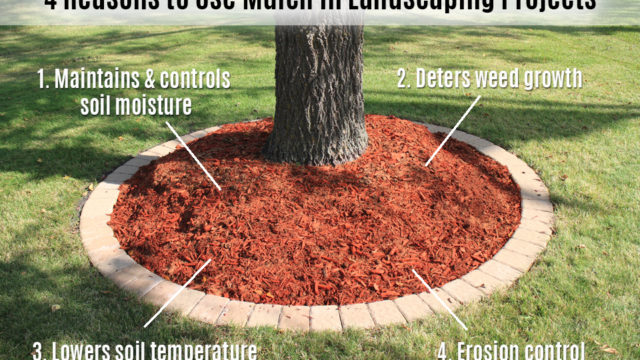 4 reasons to use mulch in landscaping 2020