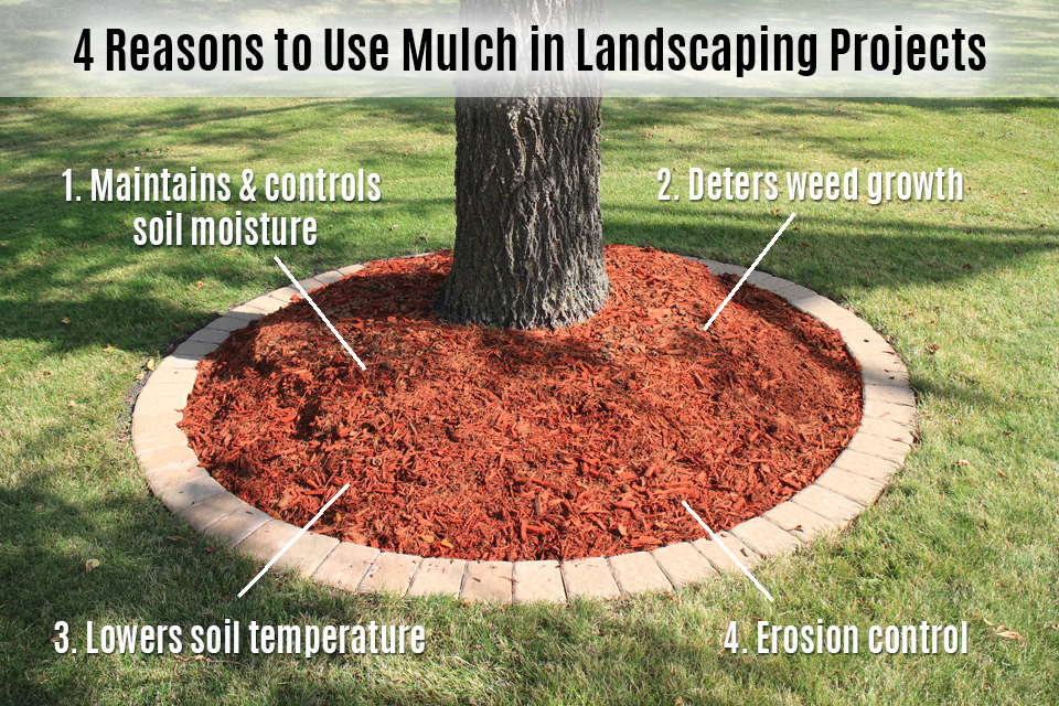 4 reasons to use mulch in landscaping 2020