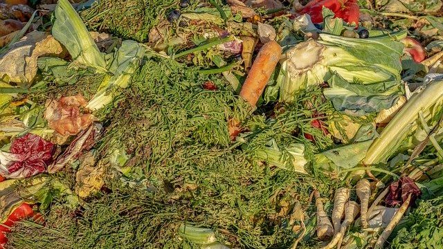 Abundant assortment of some food waste.