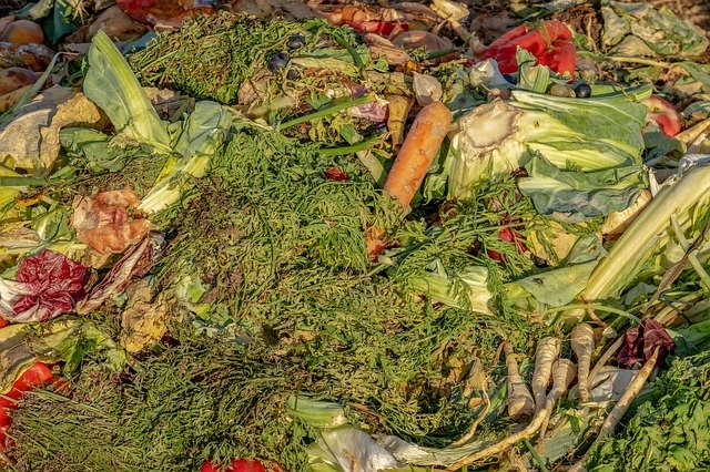 Abundant assortment of some food waste.