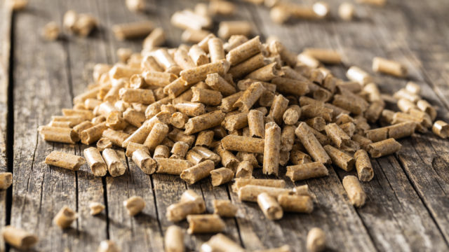 Close up of wood biomass pellets.