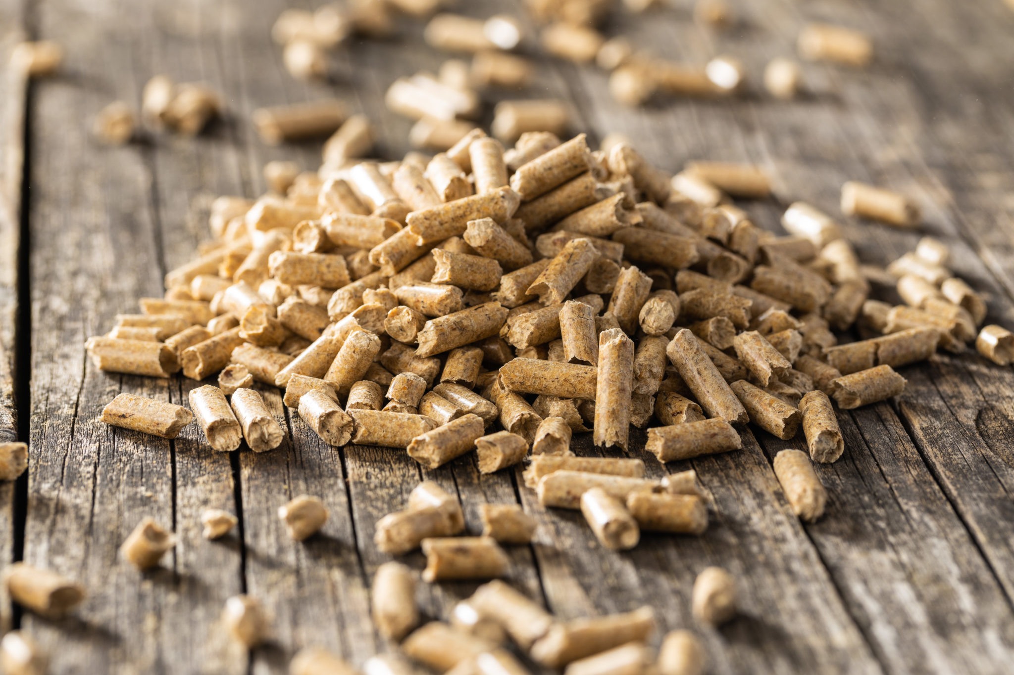 Close up of wood biomass pellets.