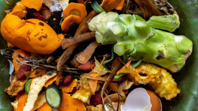 Food waste in a compost bin.