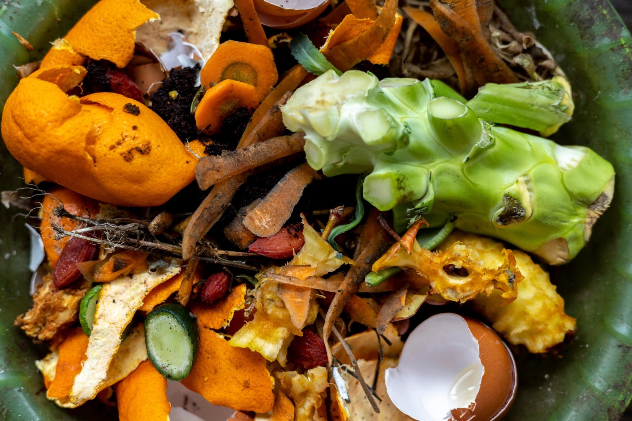 Food waste in a compost bin.
