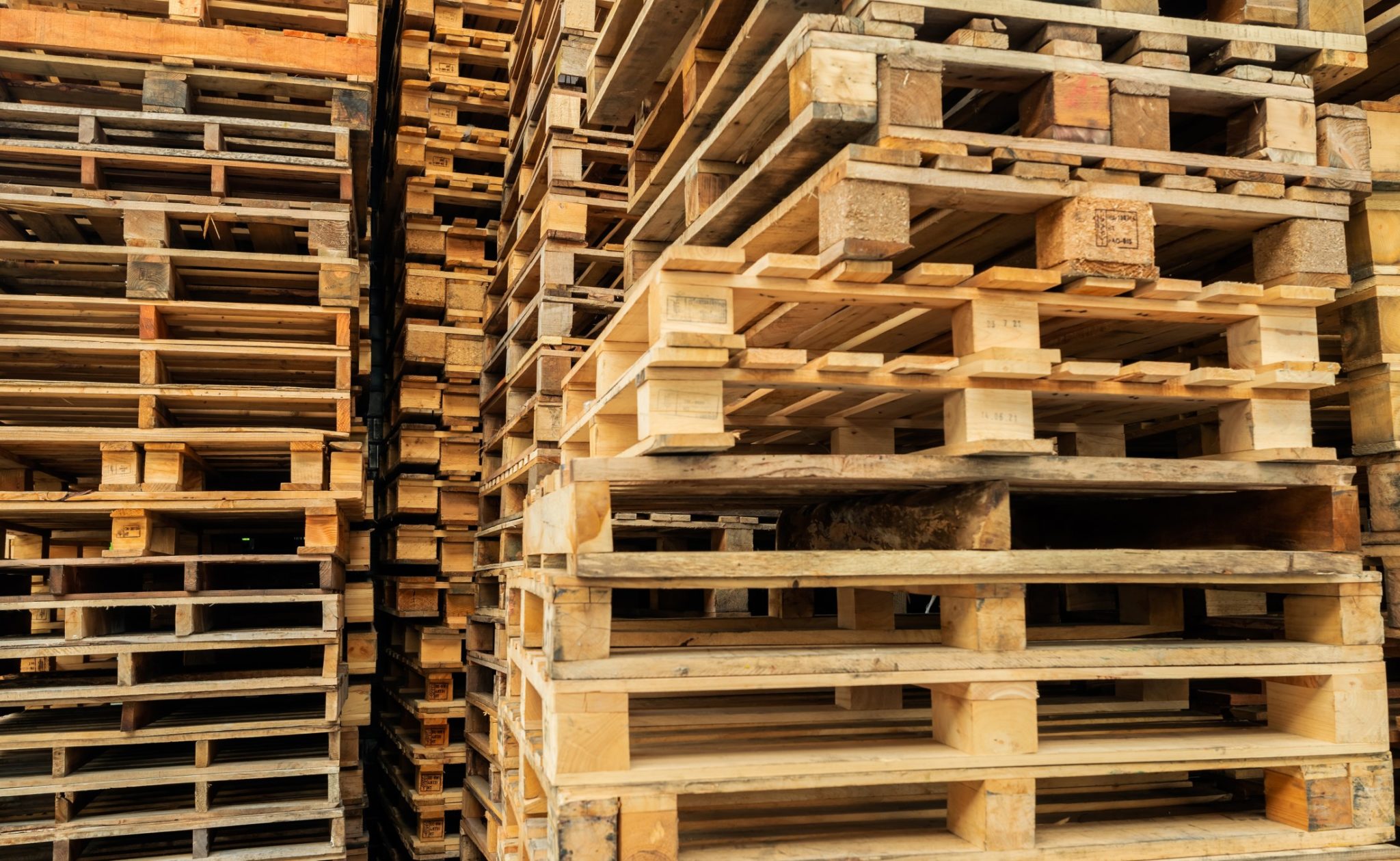 Wood palette online