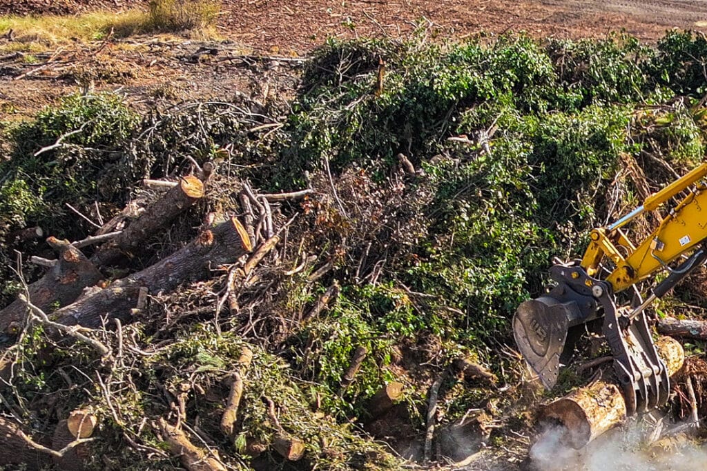 Pile of yard waste and green waste material — branches, brush, and leafy debris staged for grinding